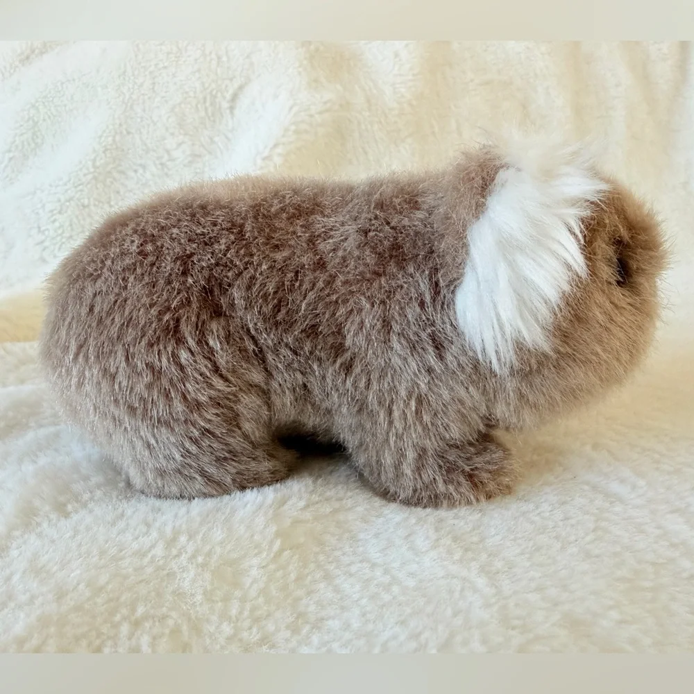 American Girl Kira Bailey Koala Plush Toy - Girl of the Year 2020/2021 - Retired - Picture 5 of 9